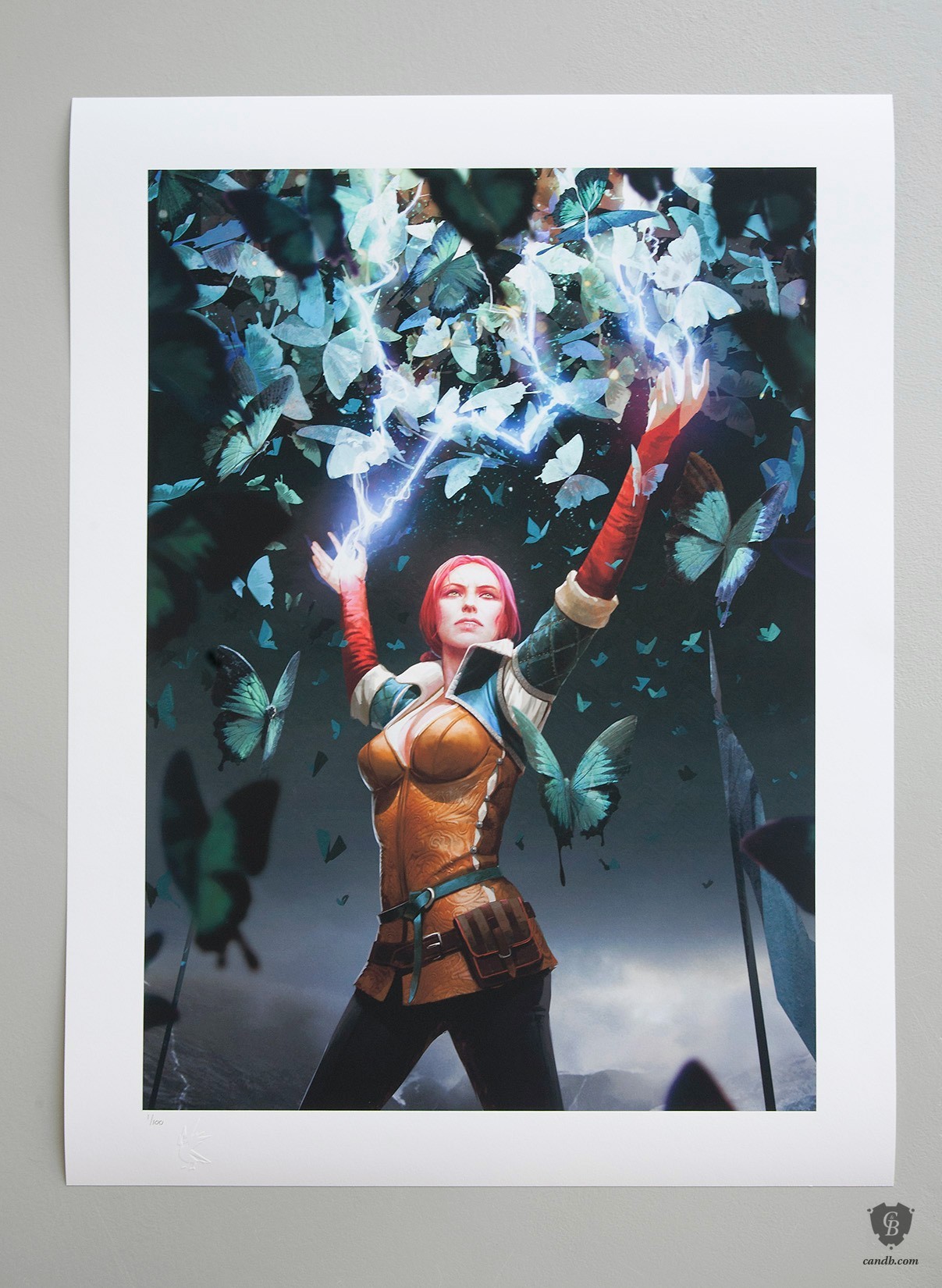 triss-the-witcher_cd-projekt-red_1207x1650_marked.jpg