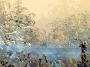 Cursed Forest - Cursed Forest (Verfluchter Wald) ist ein digitaler Original-Kunstdruck des Künstlers und Illustrators Kilian Eng. Dieser Certified Art Giclée in Museumsqualität ist in einer limitierten Auflage von 50 Stück erhältlich. Jeder Druck ist handnummeriert und wird mit einem vom Künstler signierten Echtheitszertifikat ausgeliefert.