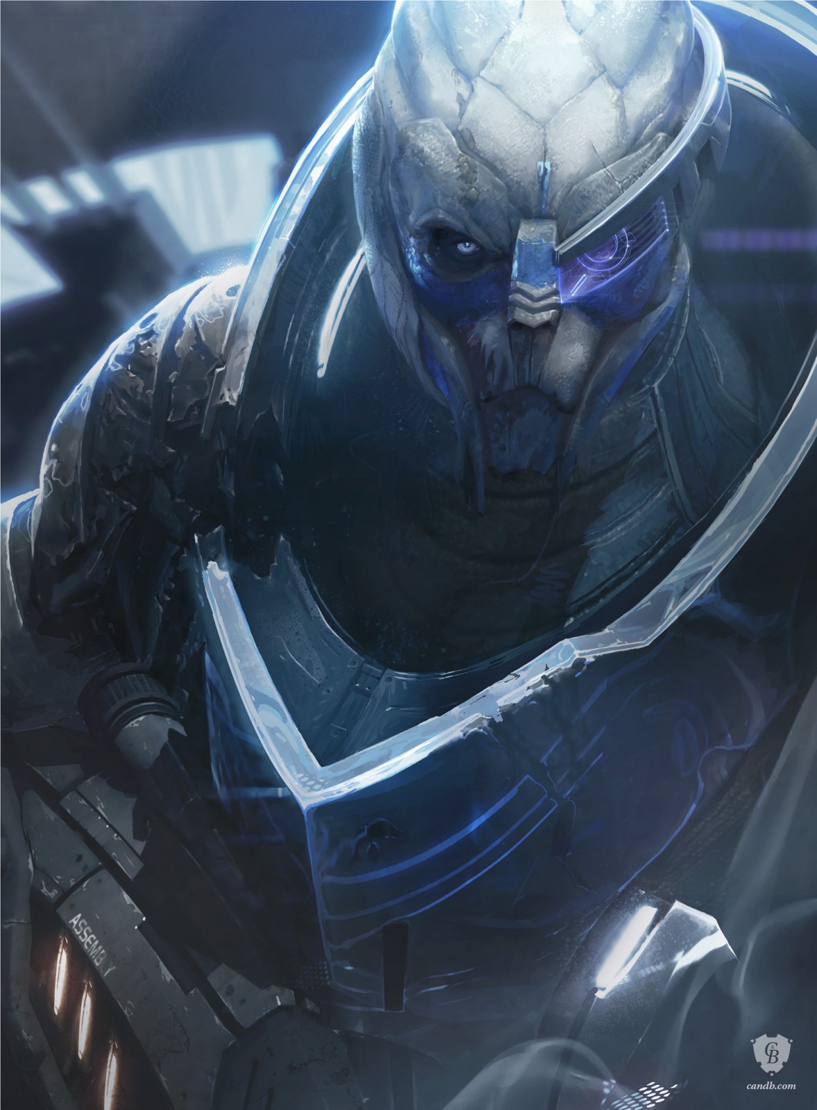 mass effect garrus assignment