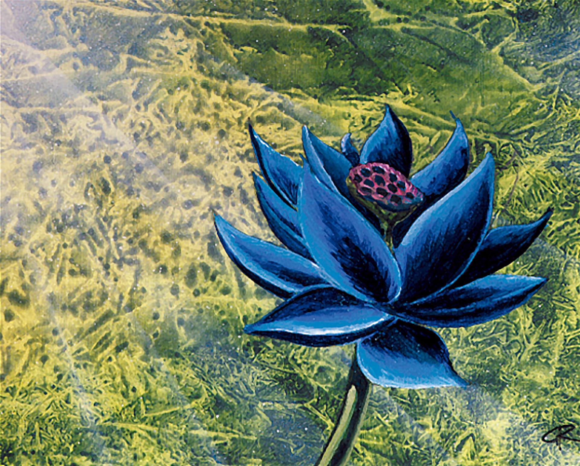 Amazon.co.jp: MTG Black Lotus ブラックロータス アートプリント : おもちゃ